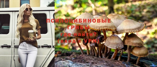 амфетамин Богданович