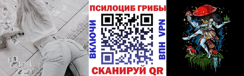 купить закладку  Обь  Псилоцибиновые грибы GOLDEN TEACHER 